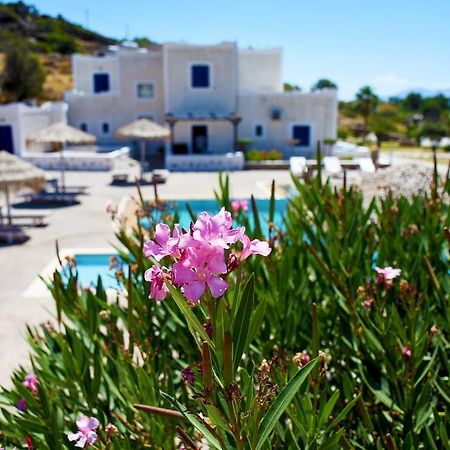 Paradise Apartments Studios Μυλοπότας Εξωτερικό φωτογραφία